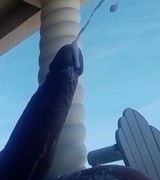 Monsterwayler's Avatar