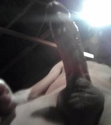 FallenArchAngel's Avatar