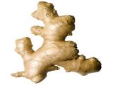 gugabruga's Avatar