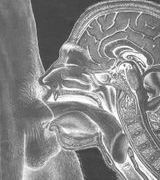 stoonboii10's Avatar