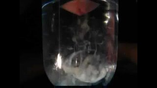 Thumb 9