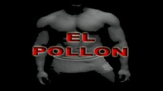 pollon