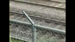 Ralph Woods solo outdoors