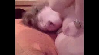 Thumb 1