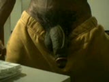 Thumb 8
