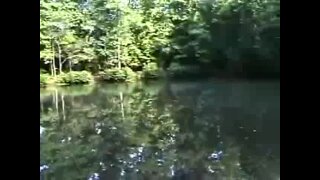Chico 1