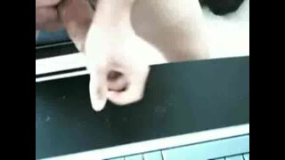 Thumb 9