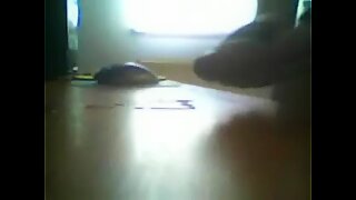 Thumb 8