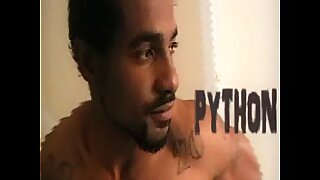 Introducing Python