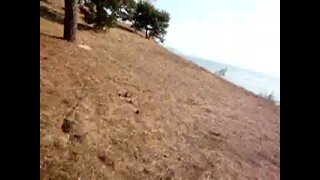 Wanking Under the Sun