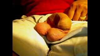 Thumb 2