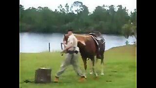 A smart ranger