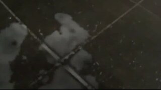 Thumb 10