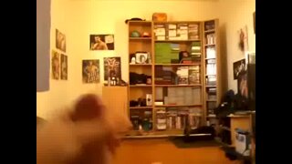 Thumb 8
