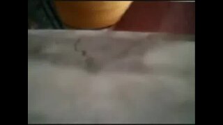 Thumb 10