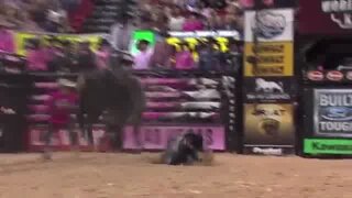 Hot Rodeo Stud JO