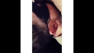 Thumb 8