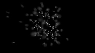 Thumb 10