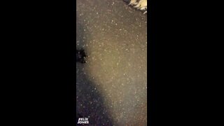 Thumb 10