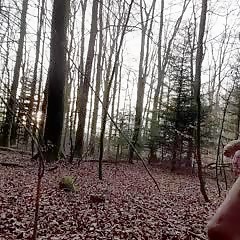 Thumb 1