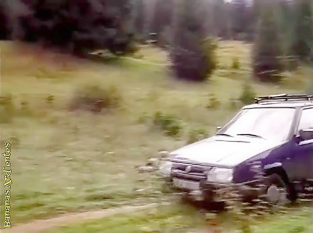 MLS1