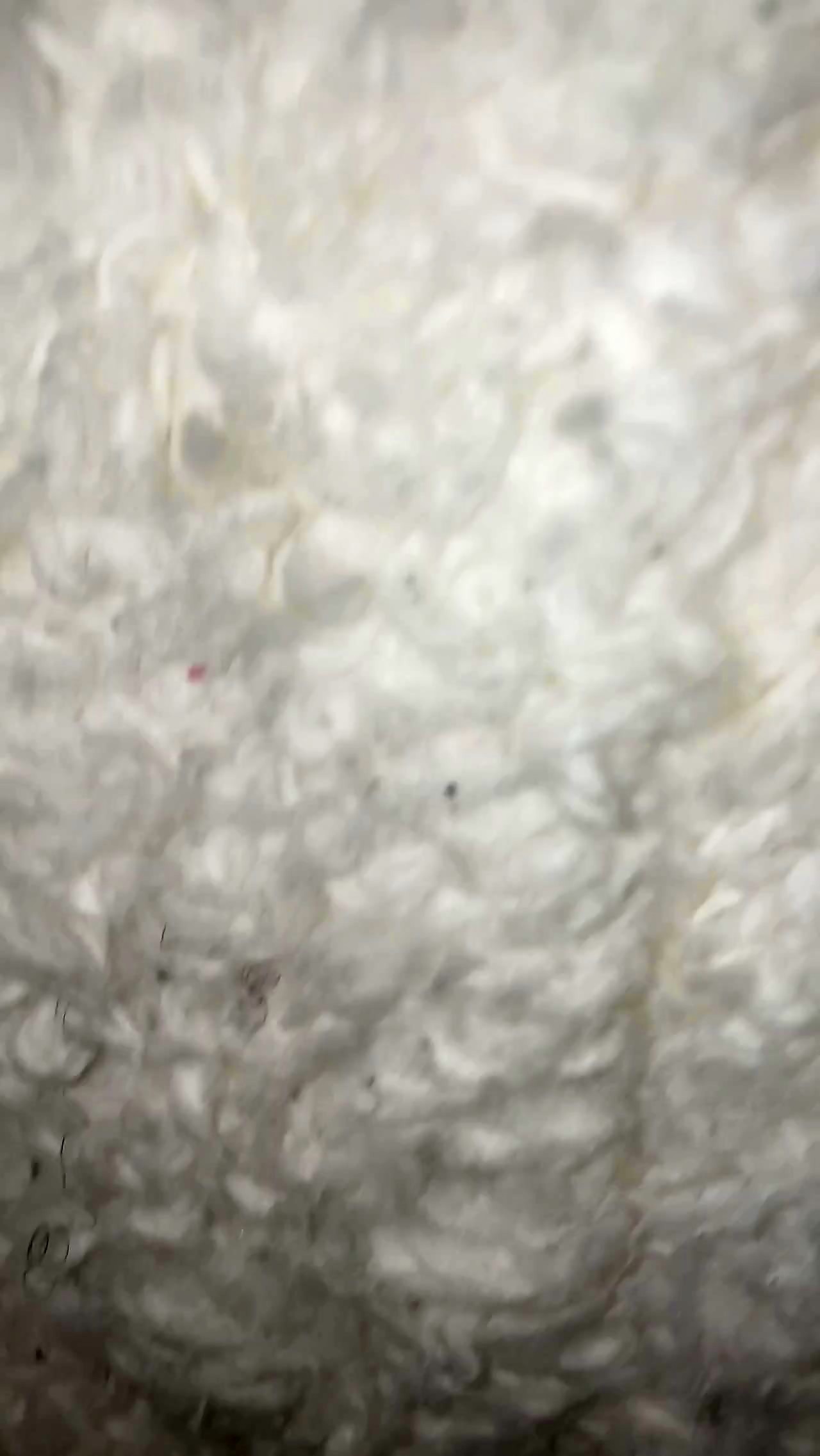 Thumb 20