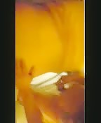 Thumb 16
