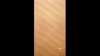 Thumb 7