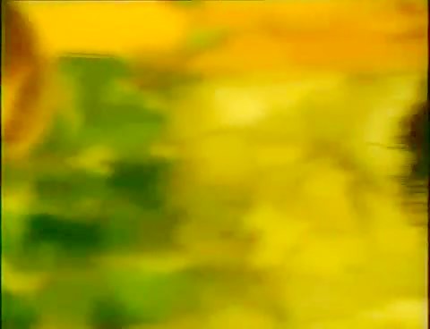 Thumb 11