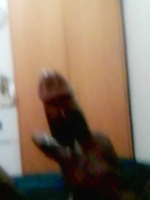Thumb 12