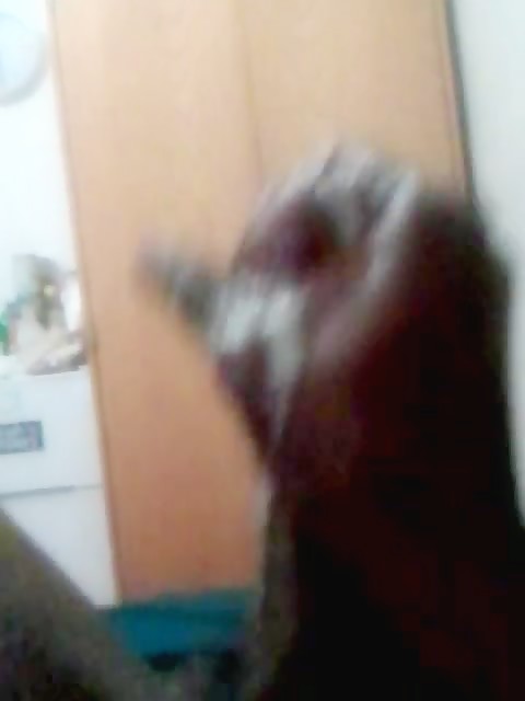 Thumb 6