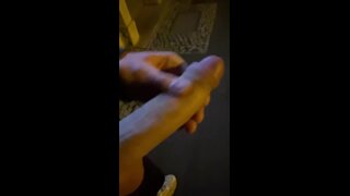 MegaSchwanz24