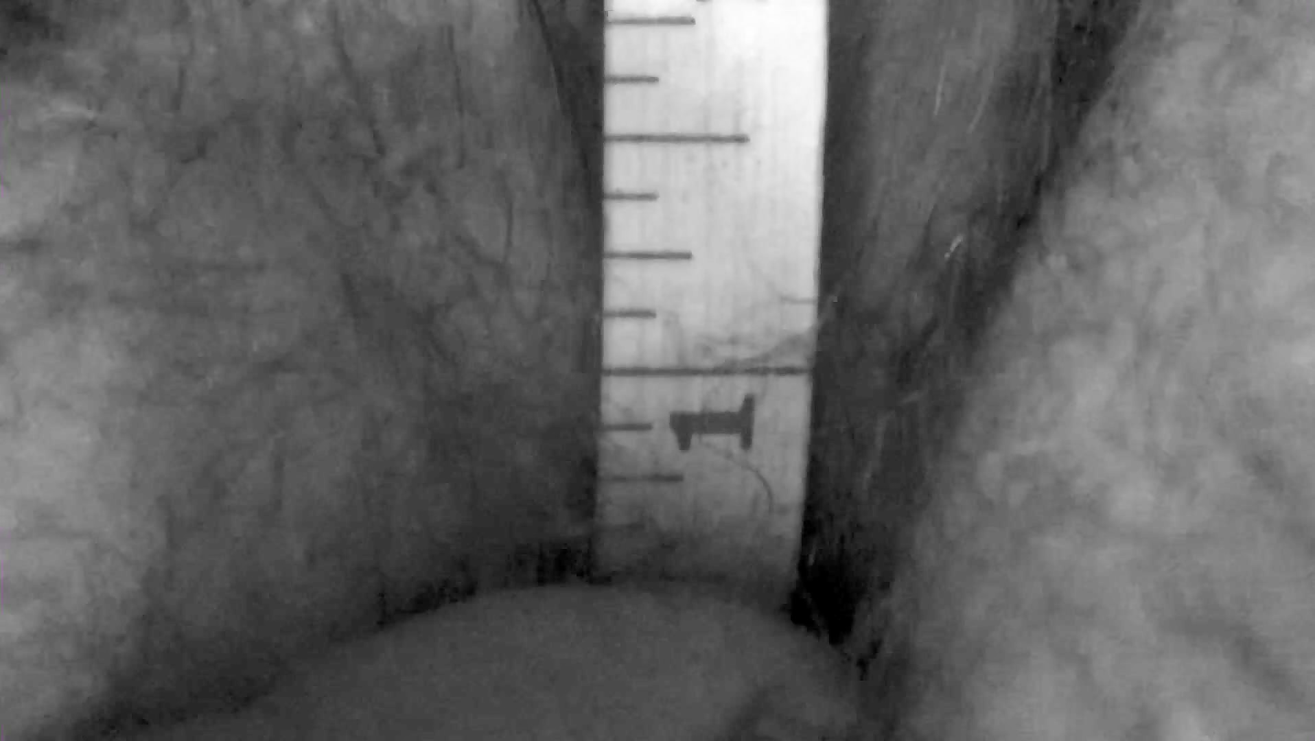 9.5"