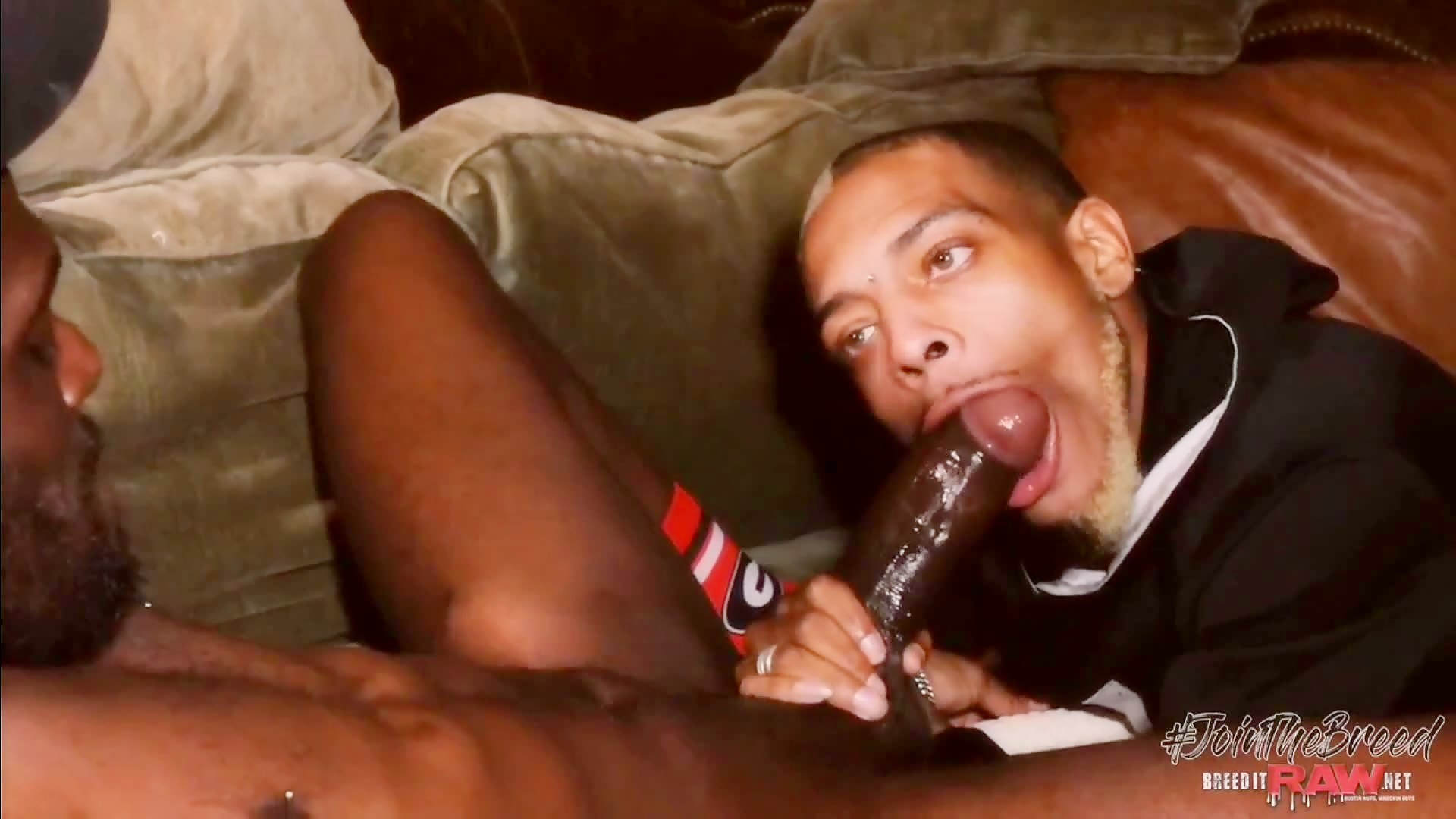Bbc suck and fuck