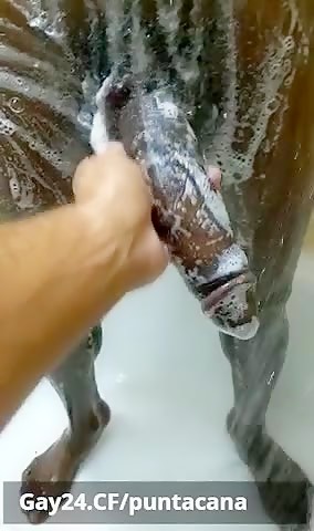 In  The  Shower
