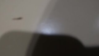 Thumb 8
