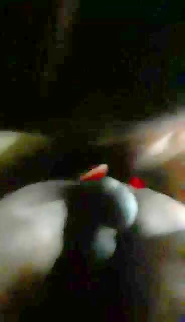 Thumb 12