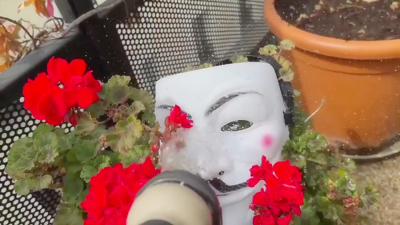 Thumb 20