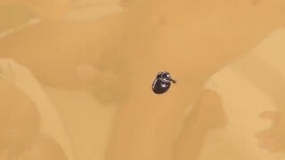 Thumb 10
