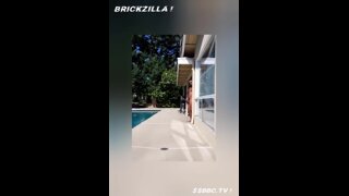 Brickzilla