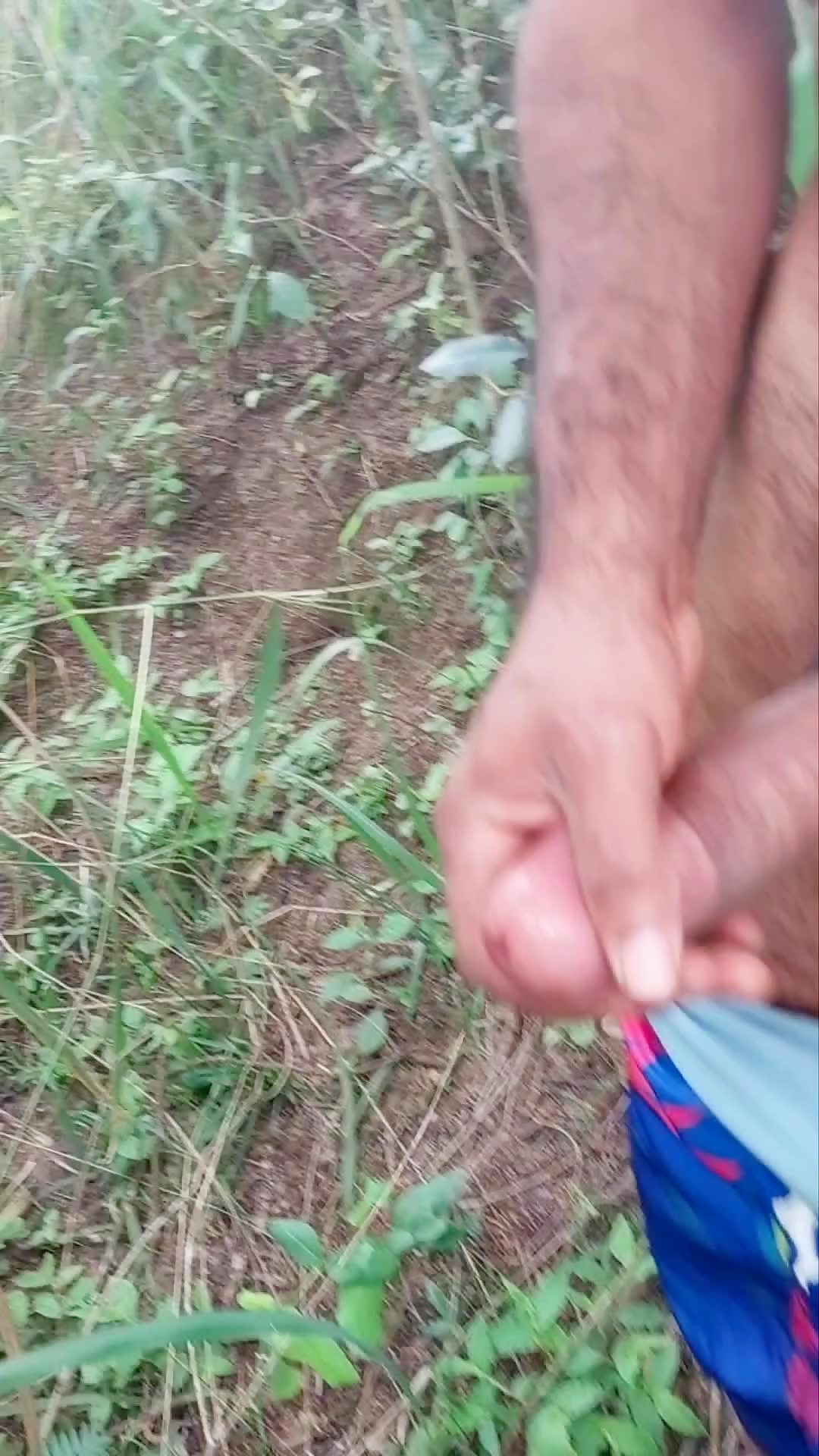 Vigia no mato