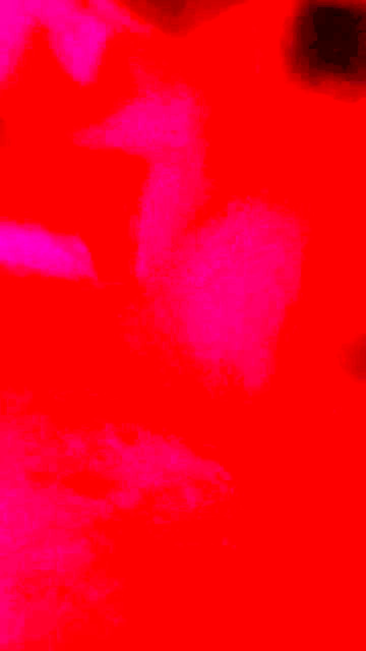 Sucker in red