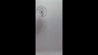Thumb 10