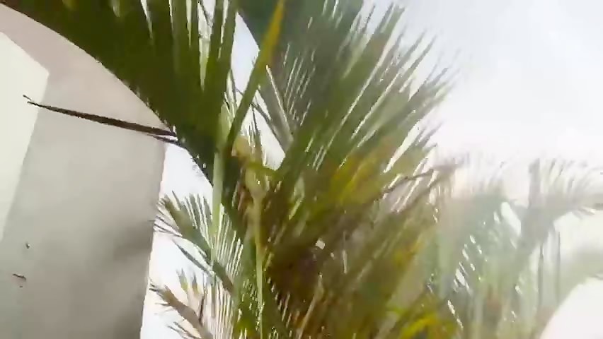 Thumb 20