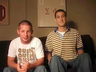 Blowing Colt
