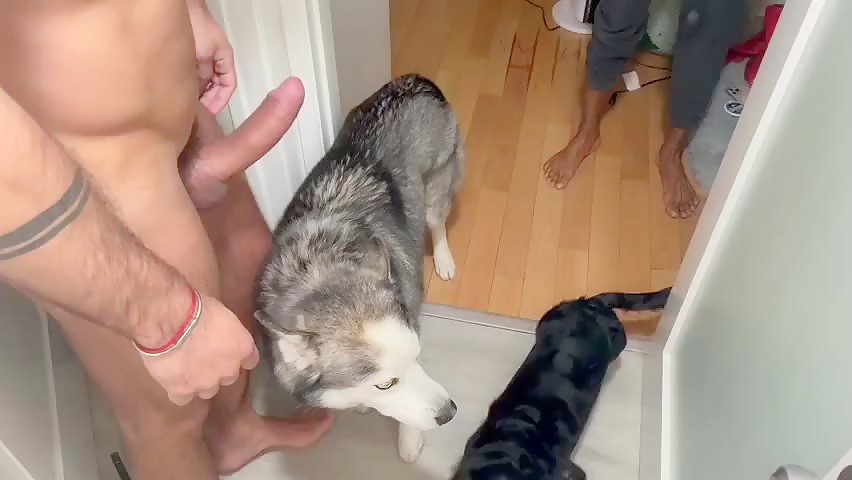 Thumb 20