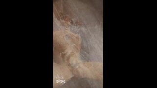 Thumb 9