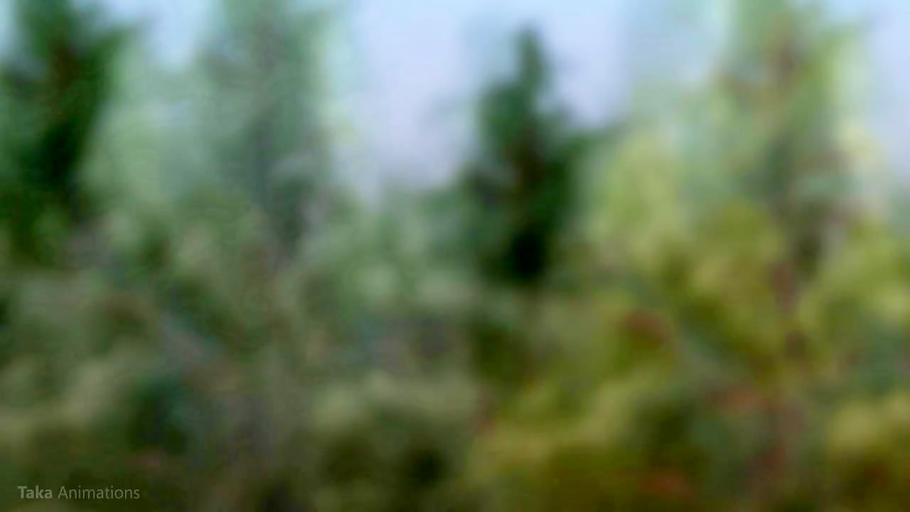 Thumb 13