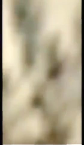 Thumb 16