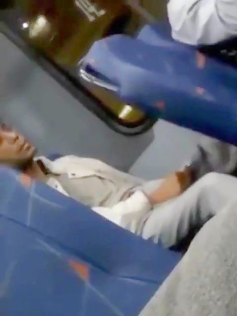 Bat On The Bus